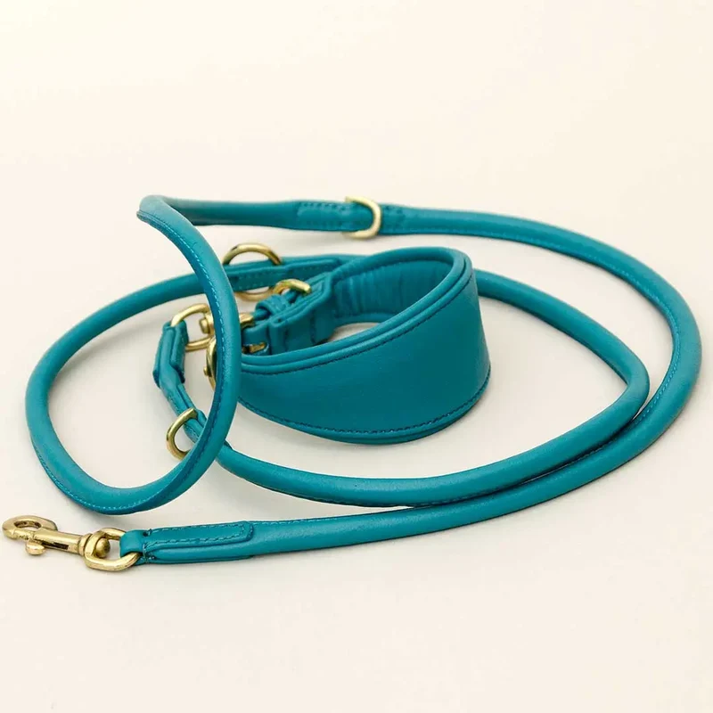 Windhund-Lederhalsband "Eden" - Ocean