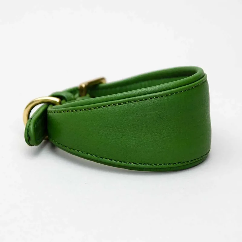 Windhund-Lederhalsband "Eden" - Green