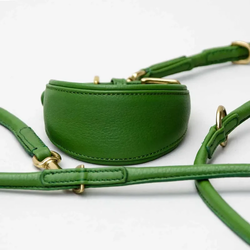 Windhund-Lederhalsband "Eden" - Green