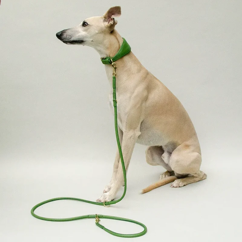 Windhund-Lederhalsband "Eden" - Green