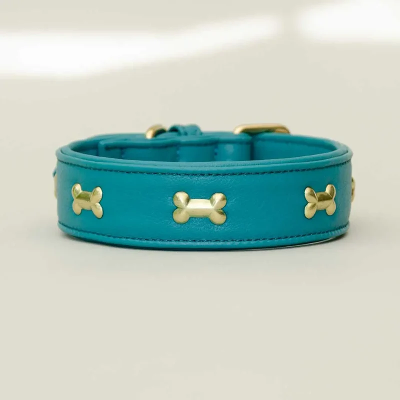 Hundehalsband "Golden Bone" - Türkis