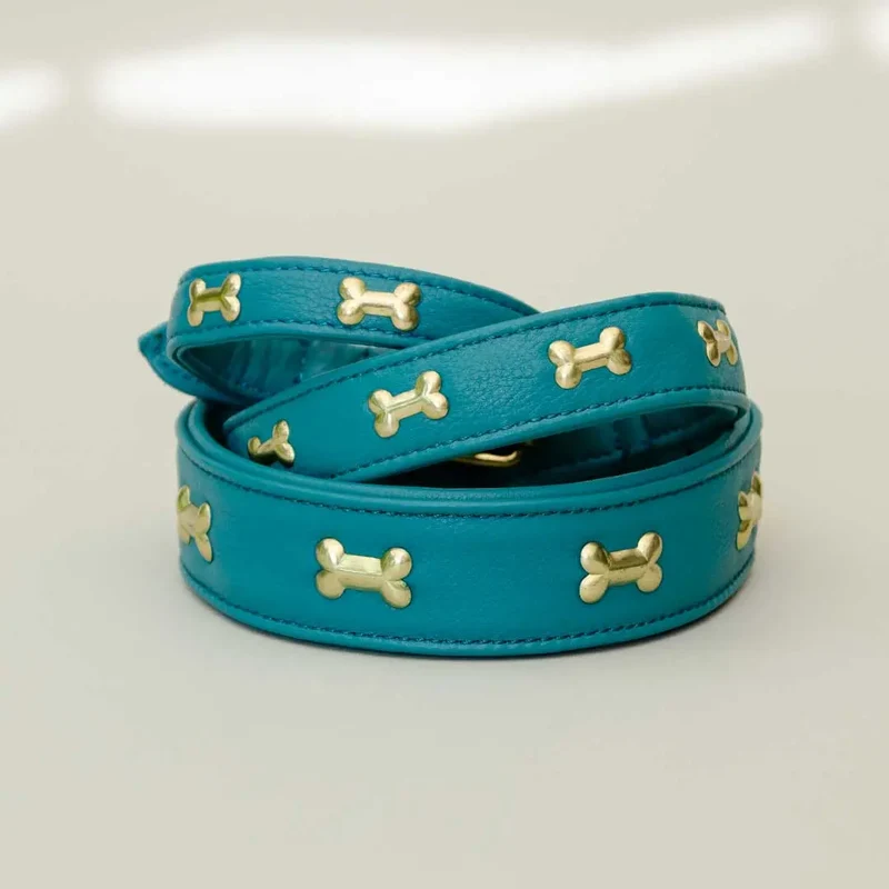 Hundehalsband "Golden Bone" - Türkis