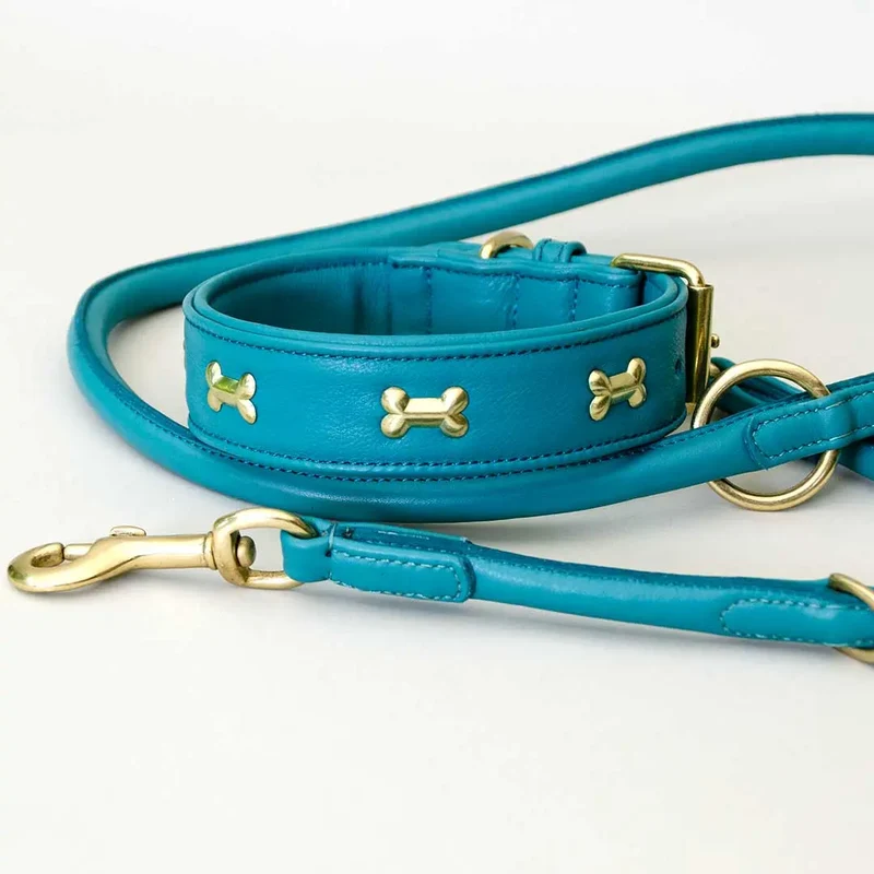 Hundehalsband "Golden Bone" - Türkis