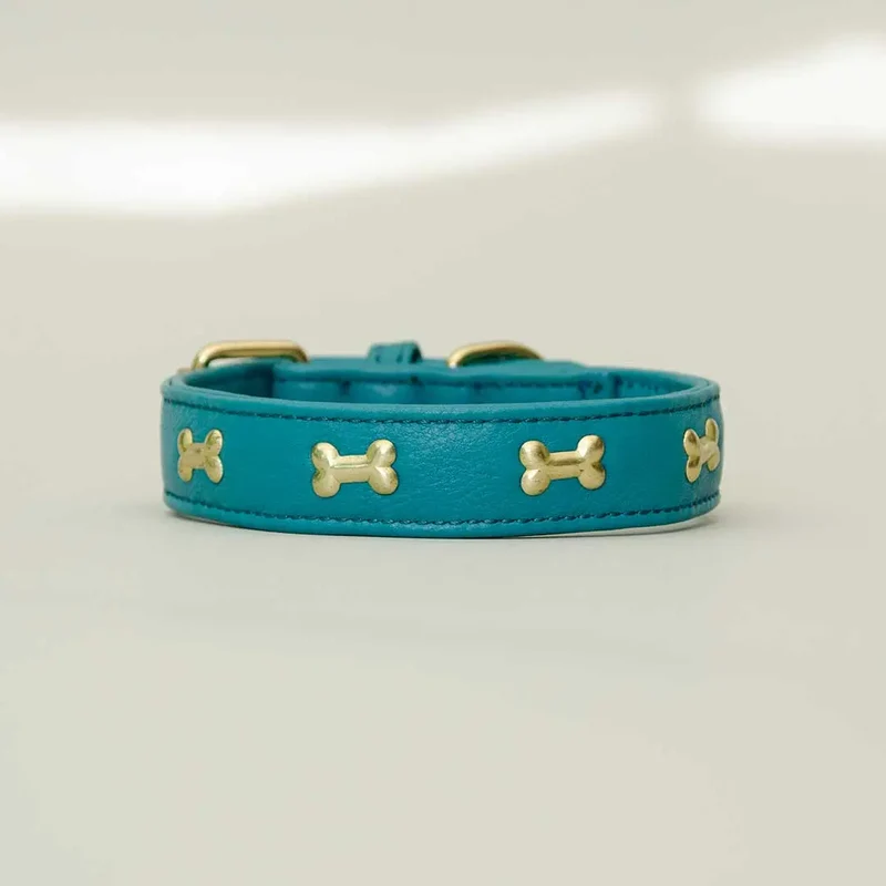 Hundehalsband "Golden Bone" - Türkis