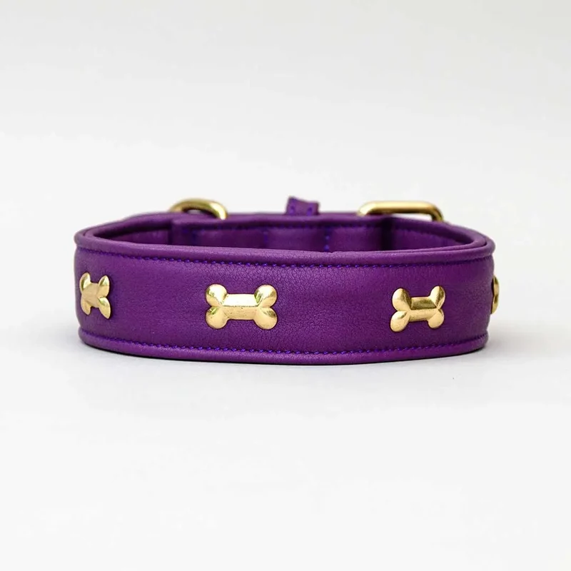 Hundehalsband "Golden Bone" - Lila