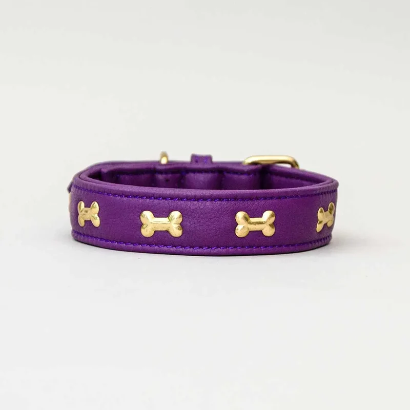 Hundehalsband "Golden Bone" - Lila