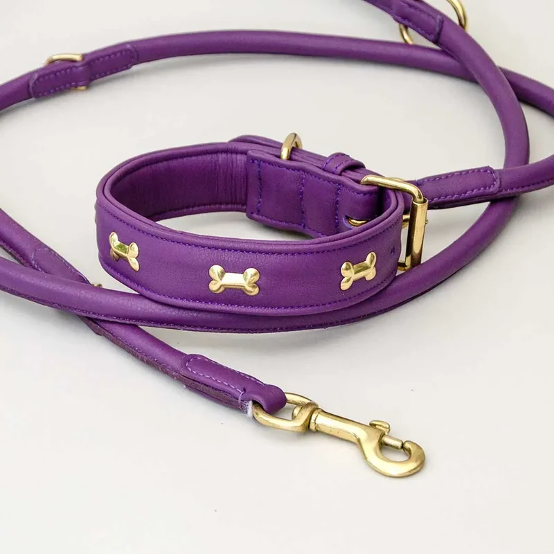 Hundehalsband "Golden Bone" - Lila