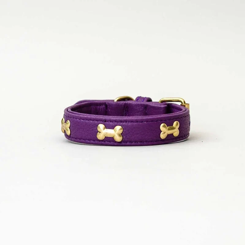 Hundehalsband "Golden Bone" - Lila