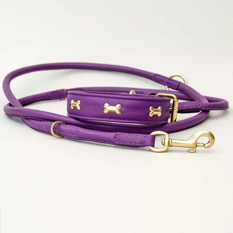 Hundehalsband "Golden Bone" - Lila