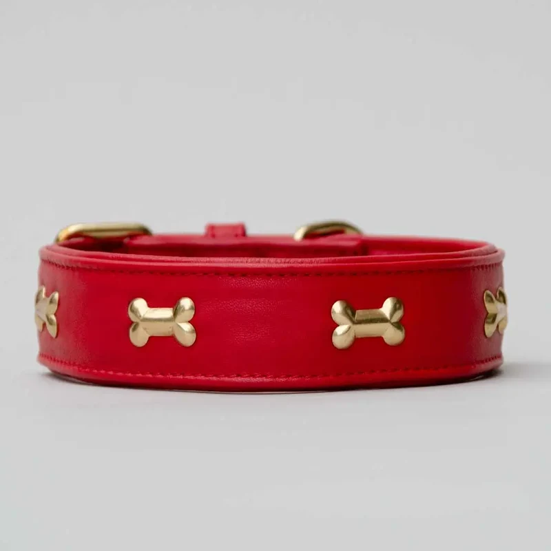 Hundehalsband "Golden Bone" - Red