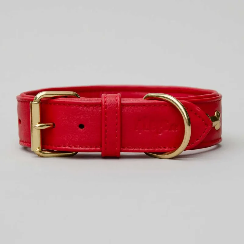 Hundehalsband "Golden Bone" - Red