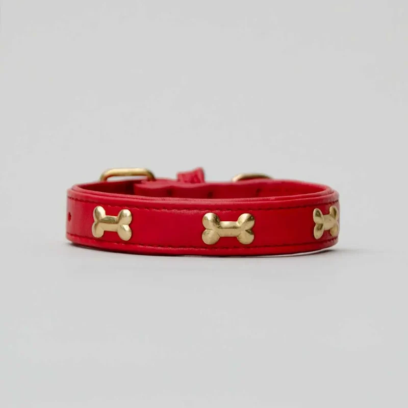 Hundehalsband "Golden Bone" - Red