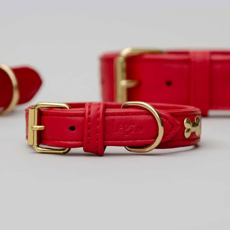 Hundehalsband "Golden Bone" - Red