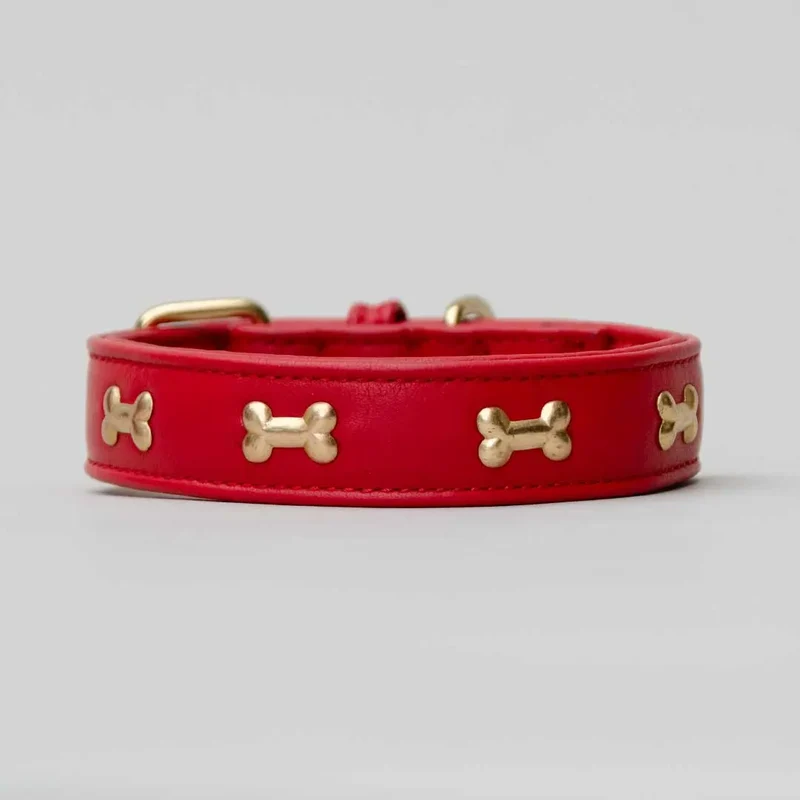 Hundehalsband "Golden Bone" - Red