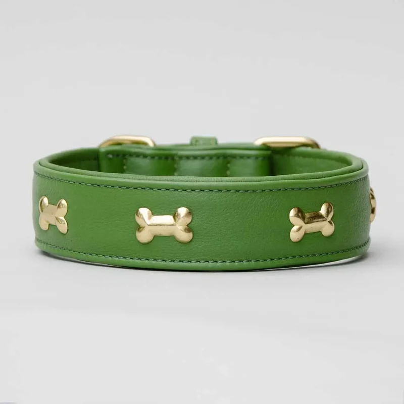 Hundehalsband "Golden Bone" - Green