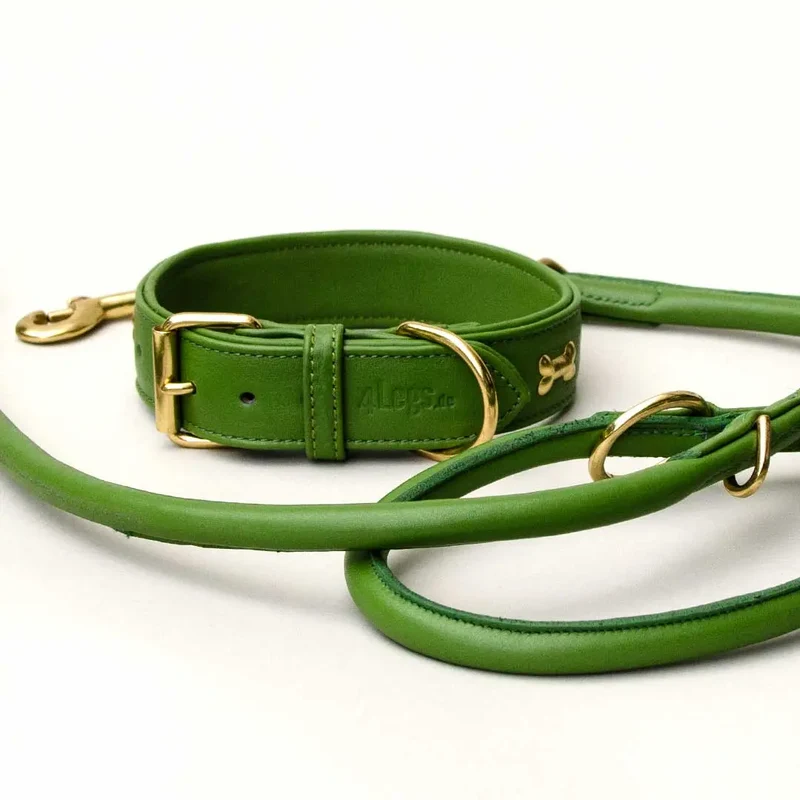 Hundehalsband "Golden Bone" - Green