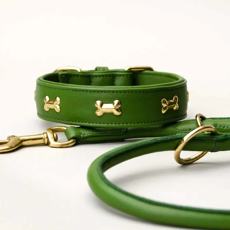 Hundehalsband "Golden Bone" - Green