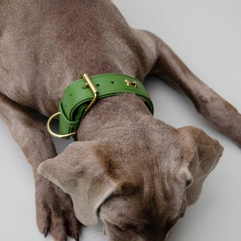 Hundehalsband "Golden Bone" - Green