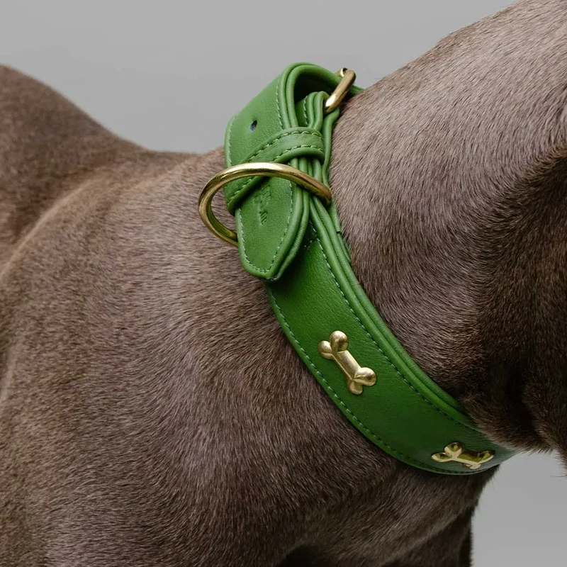 Hundehalsband "Golden Bone" - Green