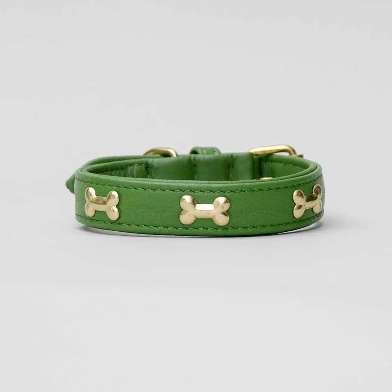 Hundehalsband "Golden Bone" - Green