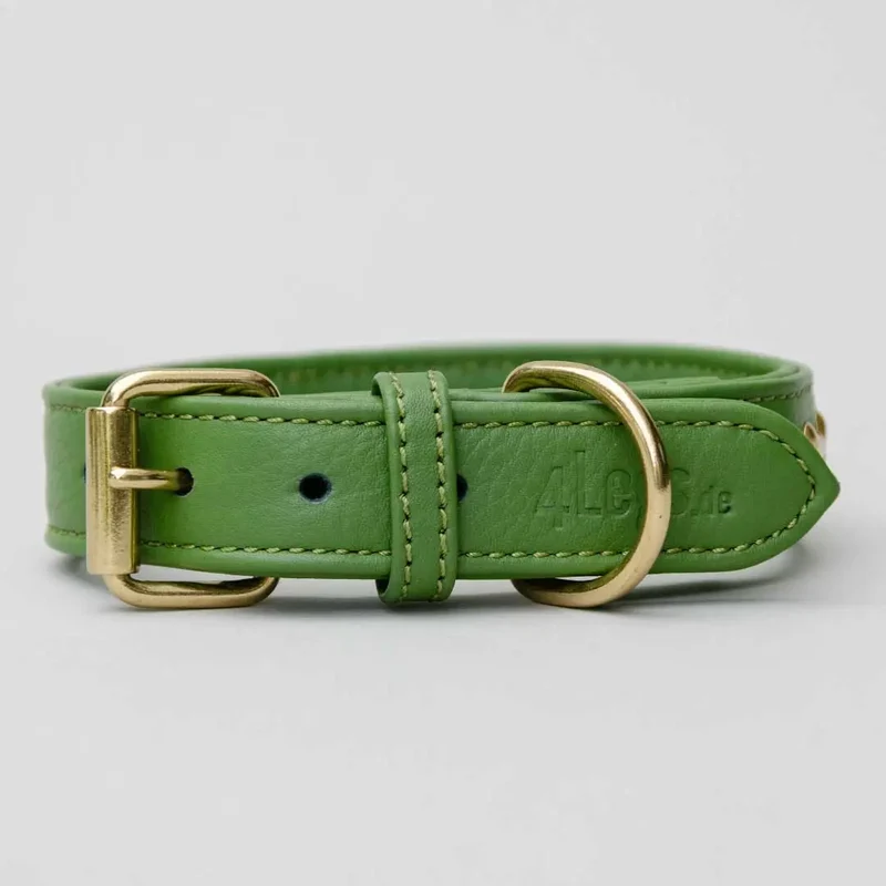 Hundehalsband "Golden Bone" - Green