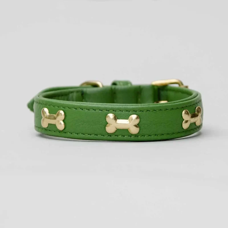 Hundehalsband "Golden Bone" - Green