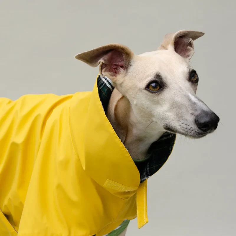 Kuscheliger Regenmantel für Hunde "Safe From Rain" yellow