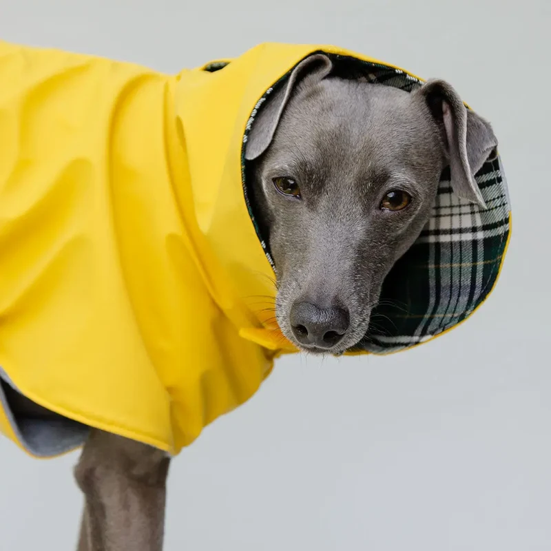 Kuscheliger Regenmantel für Hunde "Safe From Rain" yellow