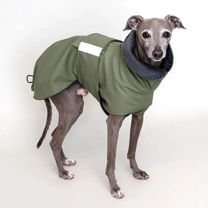 Warm gefütterter Regenmantel für Hunde "Safe From Rain" oliv