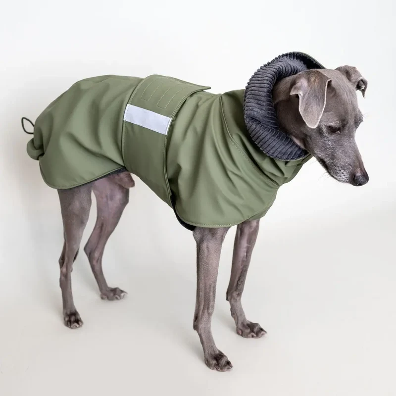 Warm gefütterter Regenmantel für Hunde "Safe From Rain" oliv
