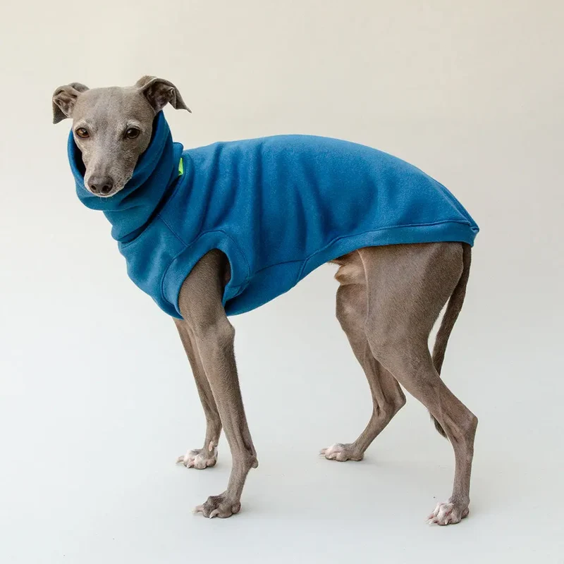 Dogsweater "COZY" - petrol