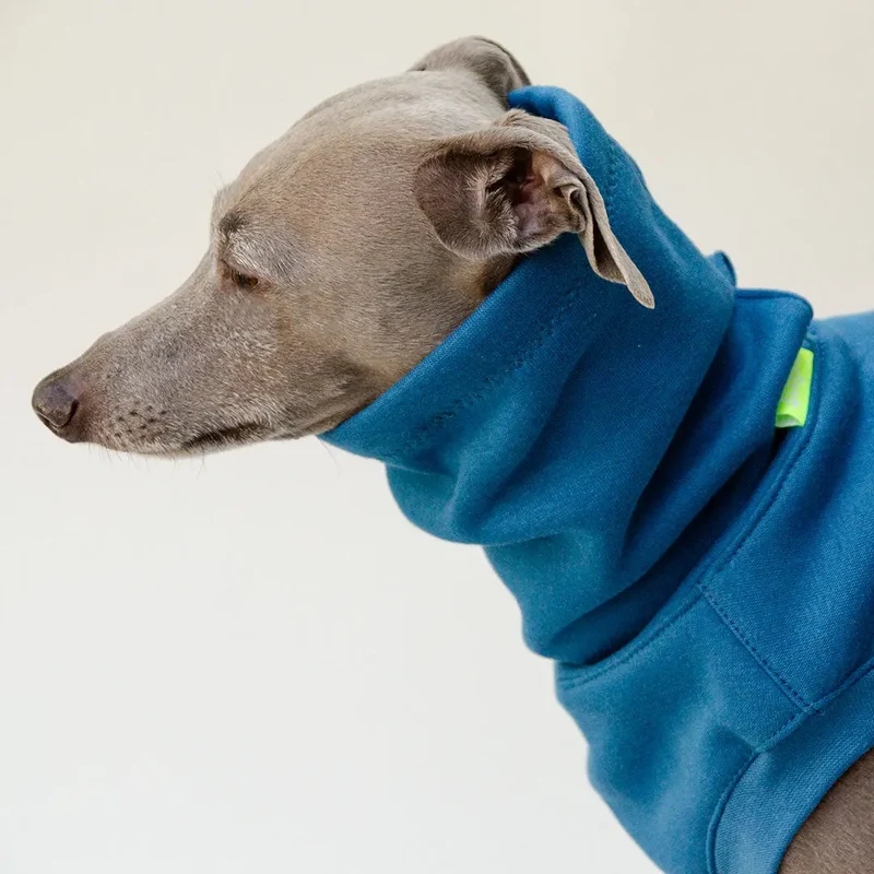 Dogsweater "COZY" - petrol