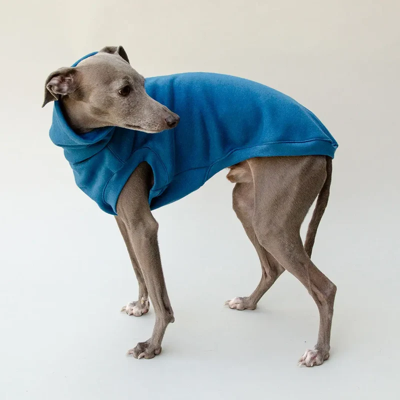 Dogsweater "COZY" - petrol