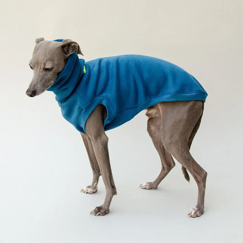 Dogsweater "COZY" - petrol