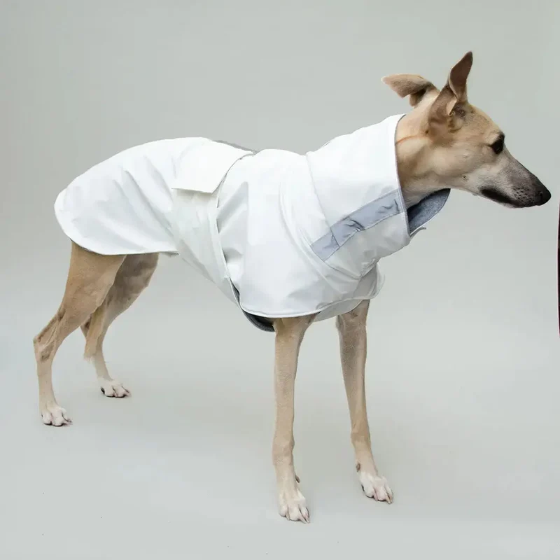Gefütterter Hunde-Regenmantel "Safe From Rain" white