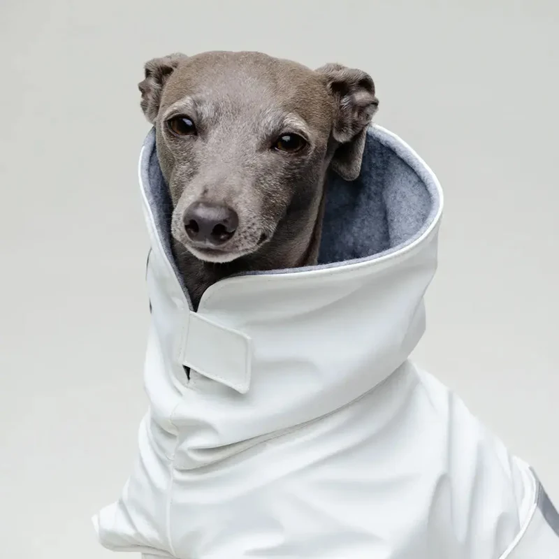 Gefütterter Hunde-Regenmantel "Safe From Rain" white