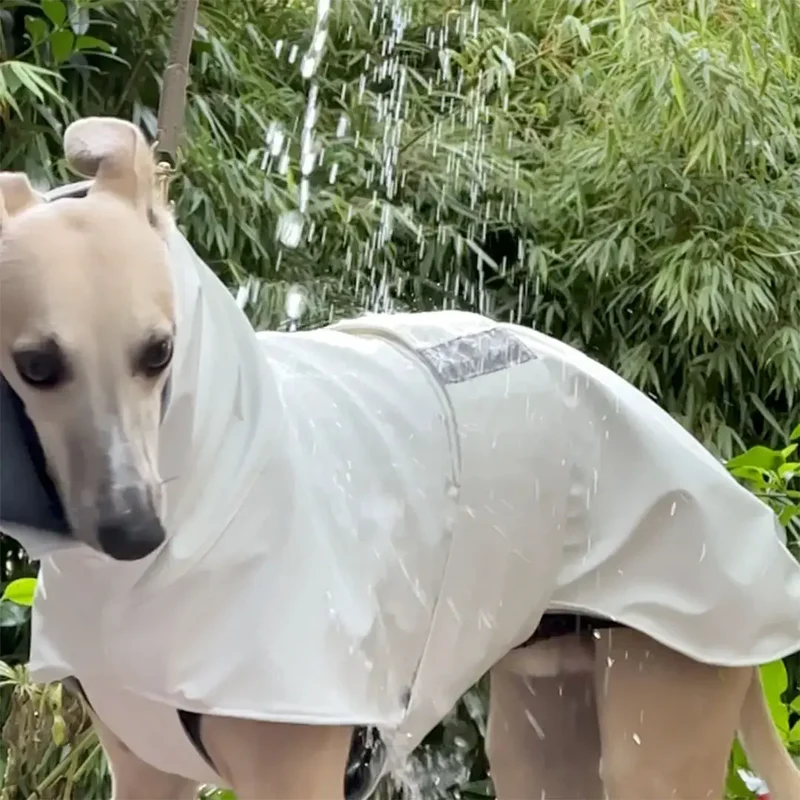 Gefütterter Hunde-Regenmantel "Safe From Rain" white