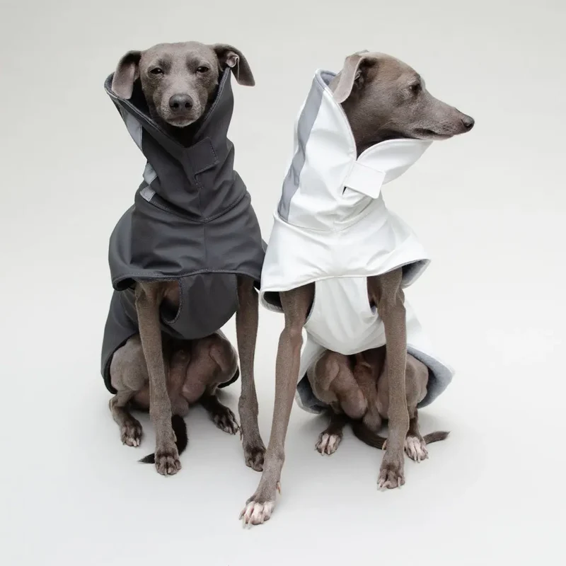 Gefütterter Hunde-Regenmantel "Safe From Rain" white
