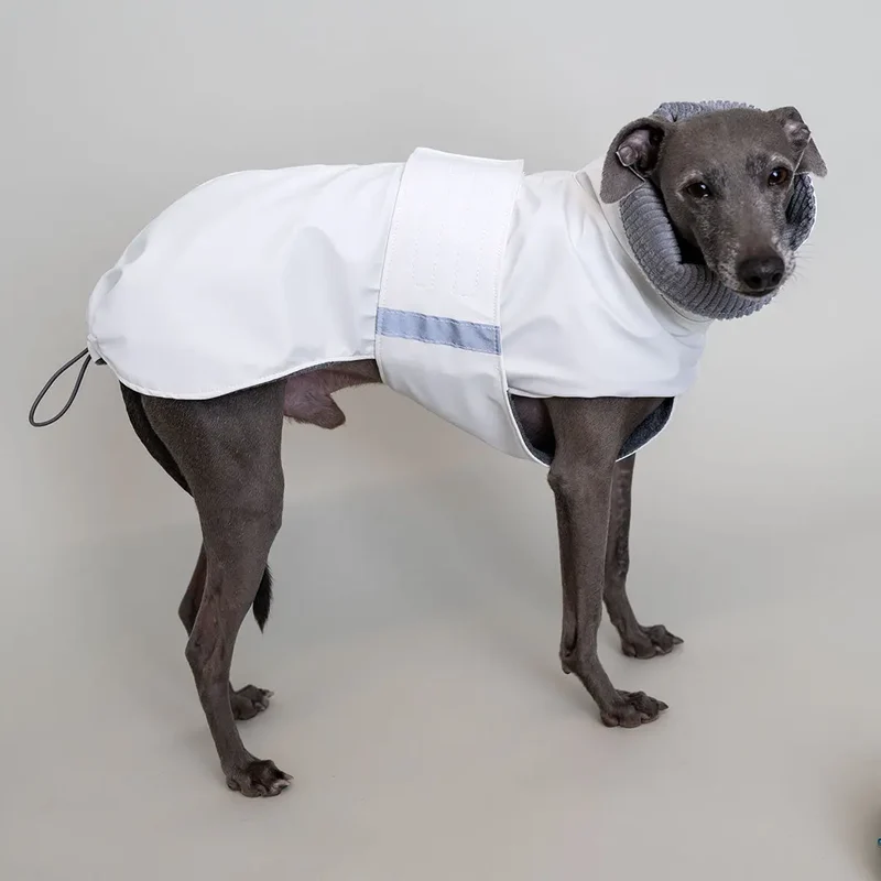 Gefütterter Hunde-Regenmantel "Safe From Rain" white