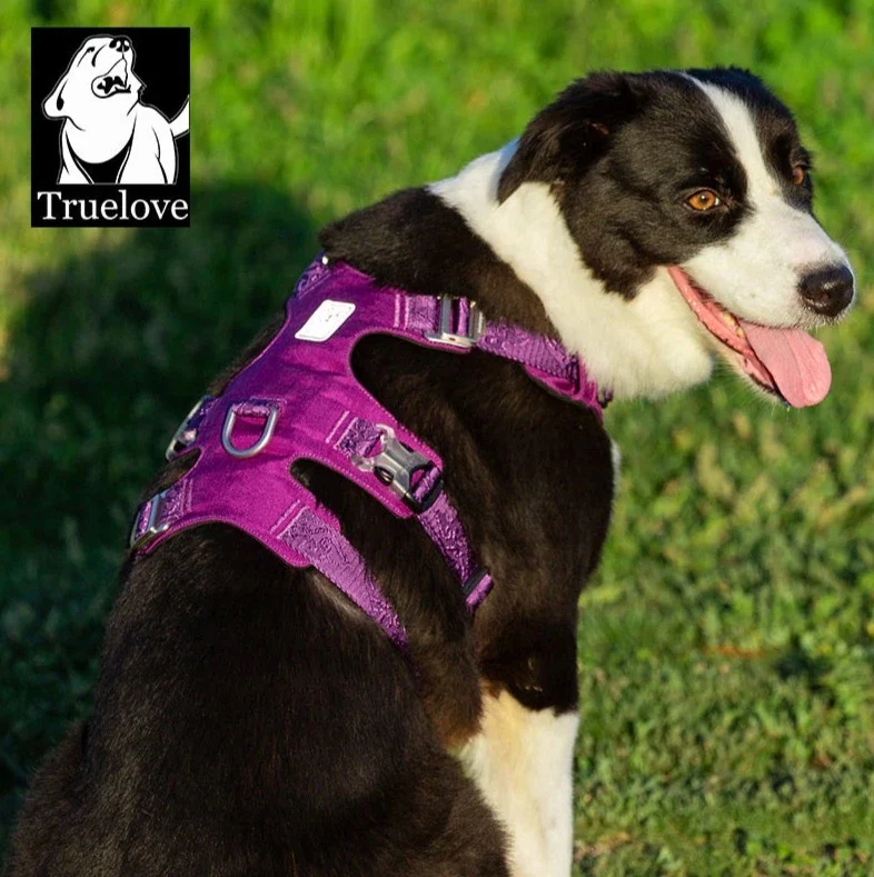 Ultraleichtes Doppel-H-Hundegeschirr Cordura®