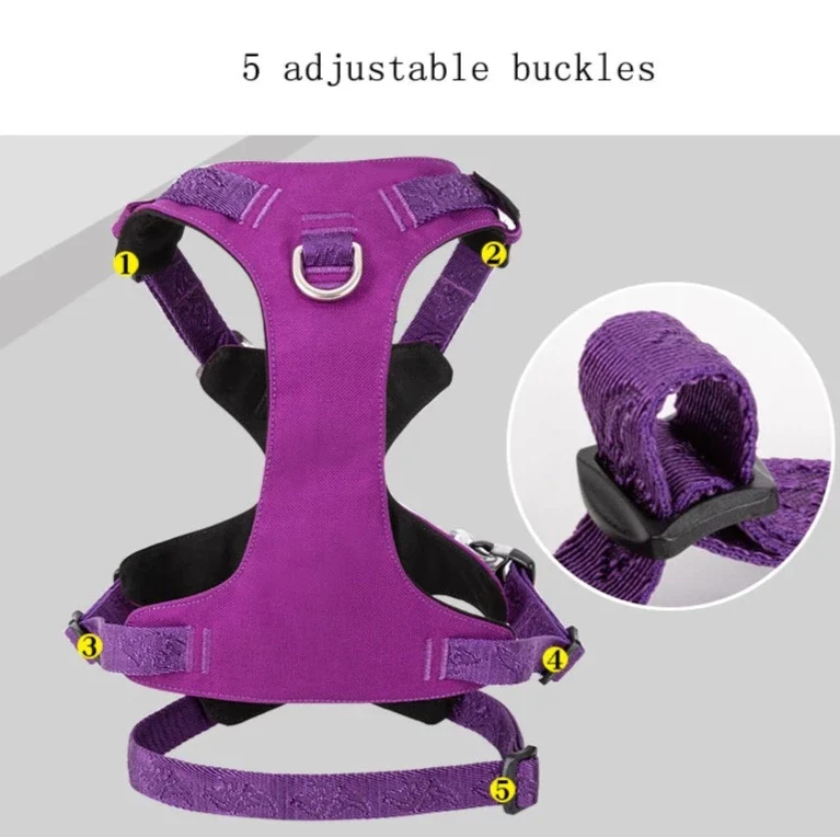 Ultraleichtes Doppel-H-Hundegeschirr Cordura®