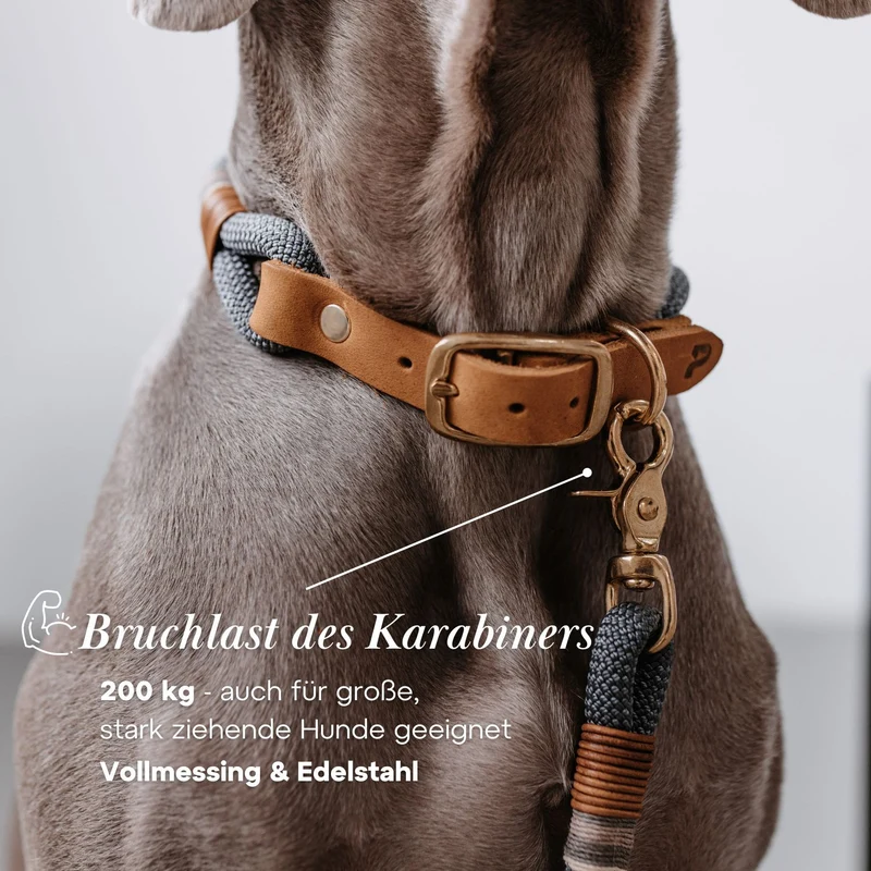 Set | Halsband & Leine 'Vienna'