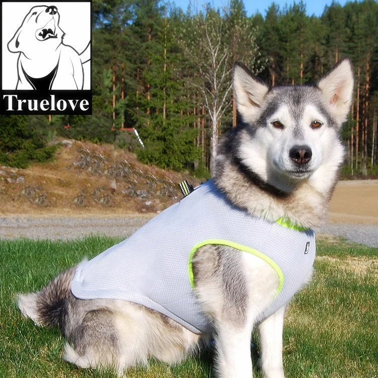 Kühlende Hundeweste