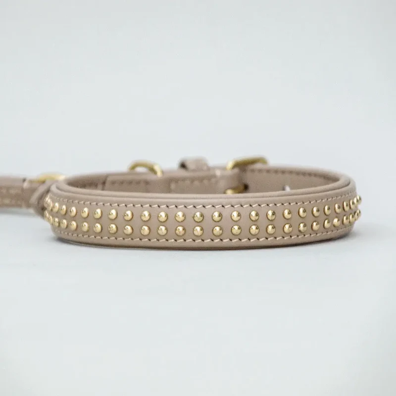 Gepolstertes Hundehalsband "You Rock" - Taupe