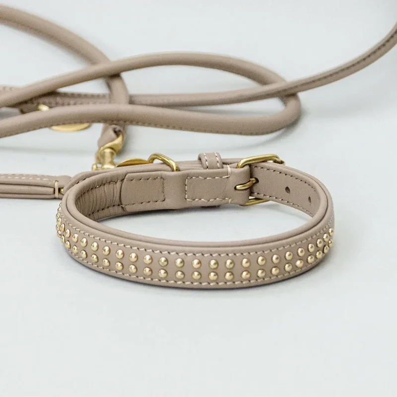 Gepolstertes Hundehalsband "You Rock" - Taupe