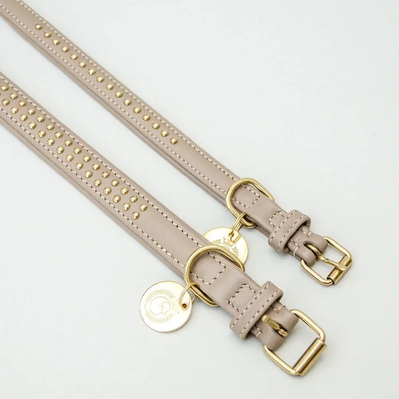 Gepolstertes Hundehalsband "You Rock" - Taupe
