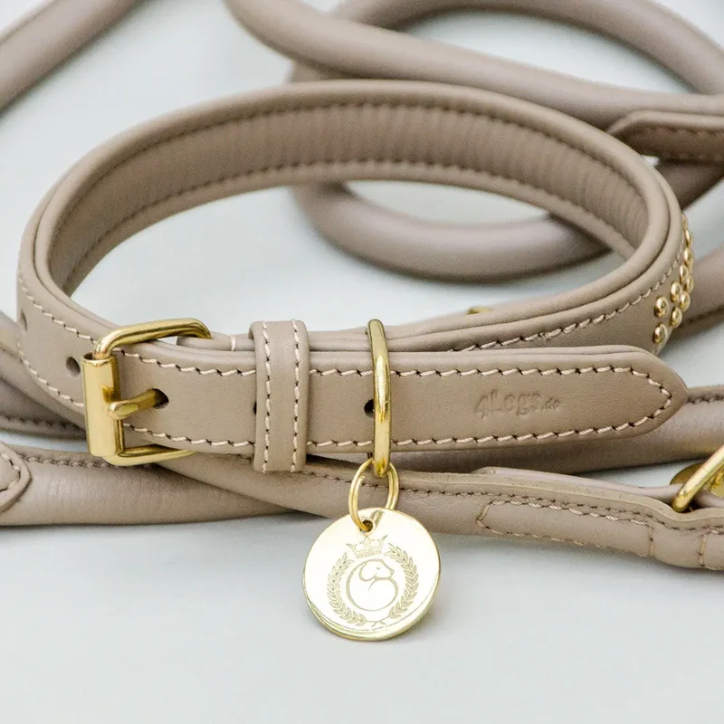 Gepolstertes Hundehalsband "You Rock" - Taupe