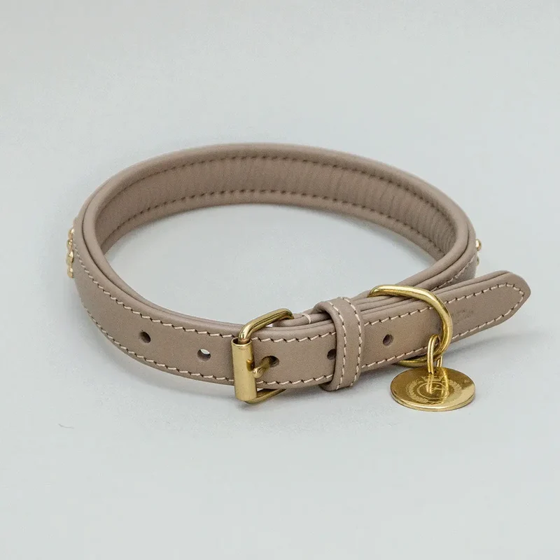 Gepolstertes Hundehalsband "You Rock" - Taupe