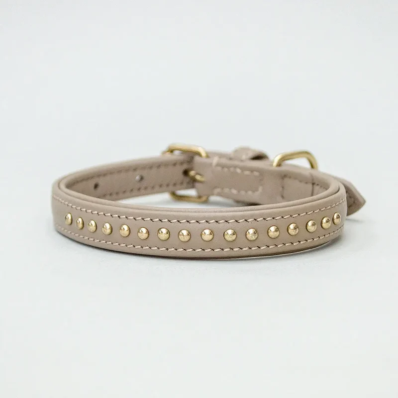 Gepolstertes Hundehalsband "You Rock" - Taupe