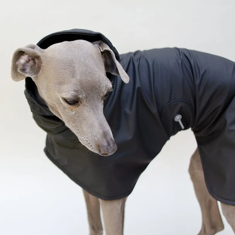Hunde-Regenjacke - "Michael EXTRA Rain" - SDW